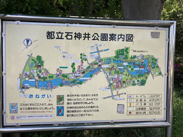 石神井公園で遊んでみました
