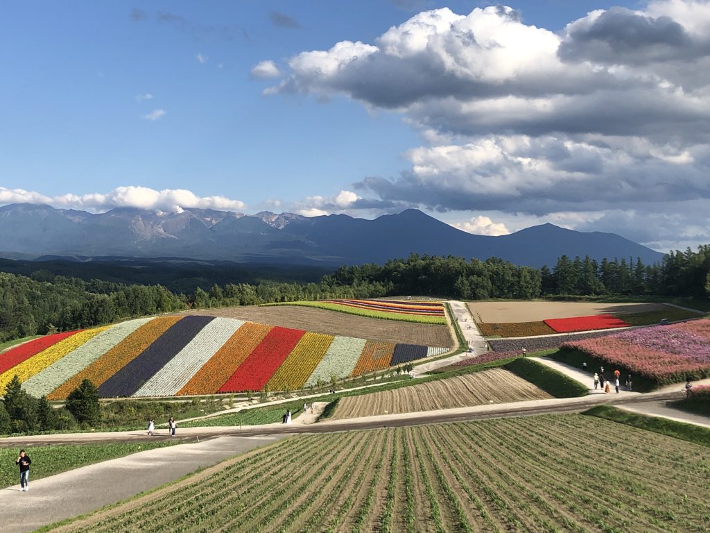 有吉の夏休み2022in富良野